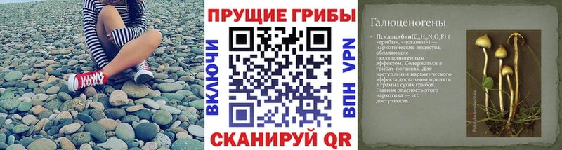 Галлюциногенные грибы прущие грибы  Нижний Ломов 